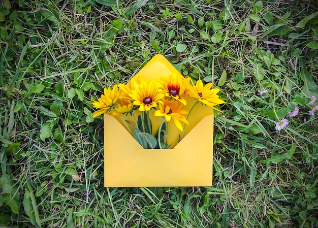 Envelope de papel amarelo com flores frescas de susan de olhos pretos em fundo de grama verde. molde floral festivo. design de cartão de felicitações. vista do topo.