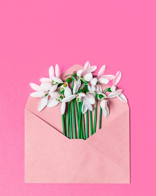 Envelope de papel ofício aberto com flores da flor da primavera em uma superfície rosa. Camada plana, vista superior.