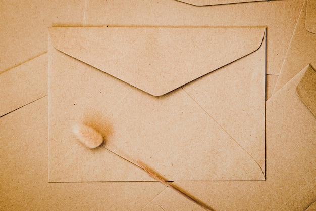 Envelope de papel pardo com flor seca cauda de coelho. Close-up do envelope de artesanato. Minimalismo plano leigo.