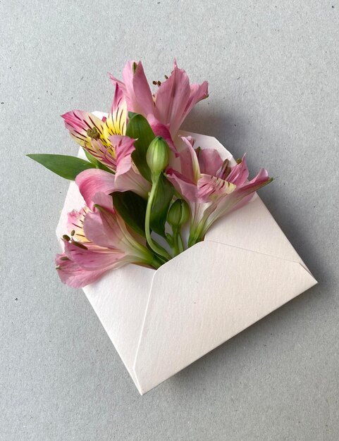 Foto envelope rosa com astromélias