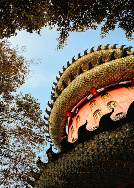 Envoltura de dragón dorado en la torre del templo con hojas de otoño por la noche en Wat Samphran