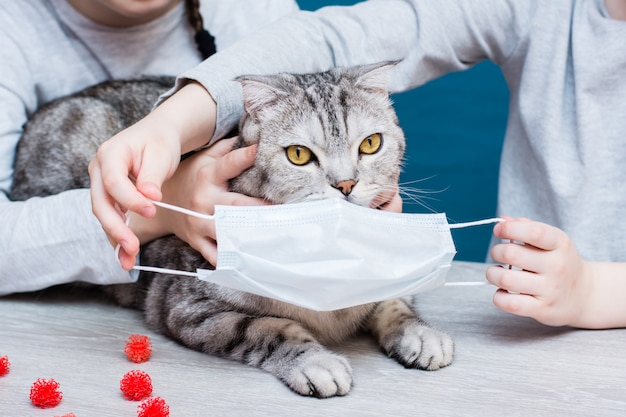 Epidemia covid-19. Los niños intentan poner una máscara médica en un gato para proteger contra el coronavirus. Protección veterinaria.