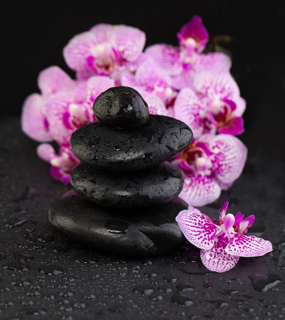 Equilibre as pedras do zen e as flores da orquídea no fundo molhado