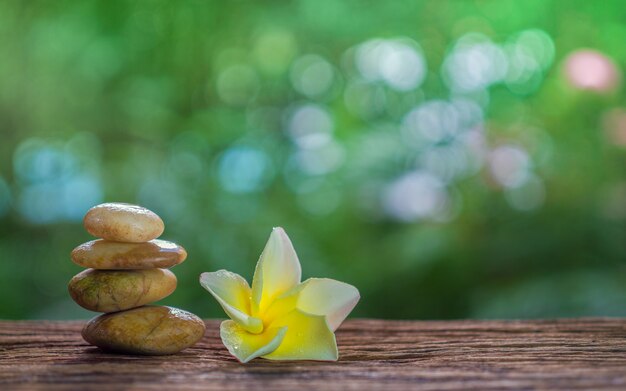 Equilibre las piedras del zen y el plumeria amarillo en la madera con el fondo verde.