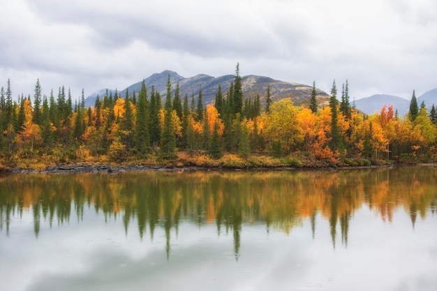 Equilíbrio e reflexão em um lago de outono nas montanhas do norte com uma floresta colorida e multicolorida