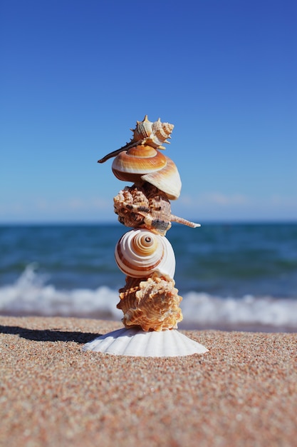 Equilíbrio ou equilíbrio de conchas na praia do mar