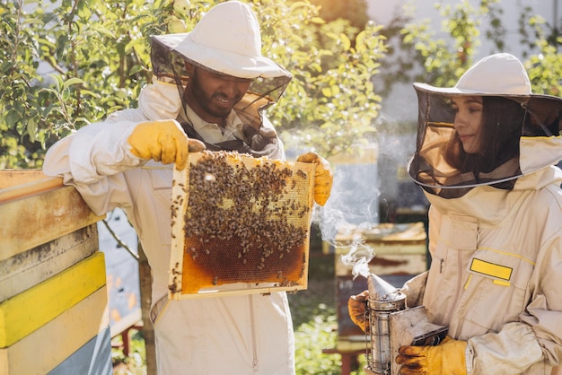 Equipa internacional de apicultores felizes homem tira a estrutura da colmeia e mulher segura fumante