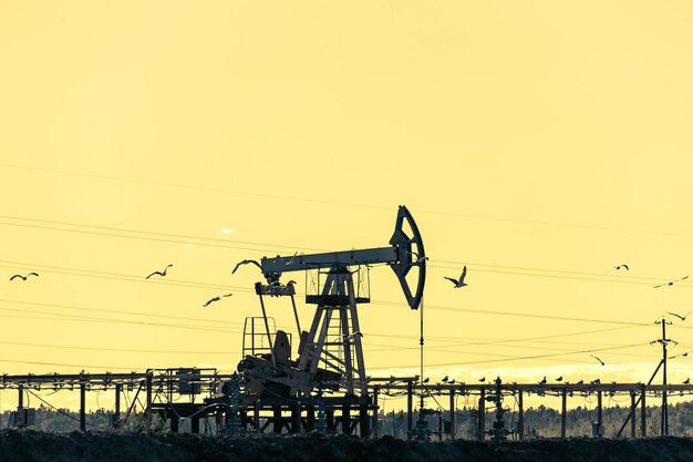 Equipamento de bomba de óleo. Produção de petróleo e gás. Local do campo petrolífero. Pump Jack está funcionando. Torres de perfuração para a produção de combustíveis fósseis e produção de petróleo bruto. Guerra aos preços do petróleo. Crise global do coronavírus COVID 19.