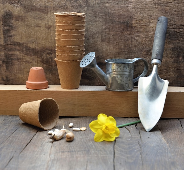 Equipamento de jardinagem, disposto em um fundo de madeira com uma flor amarela de narcisos