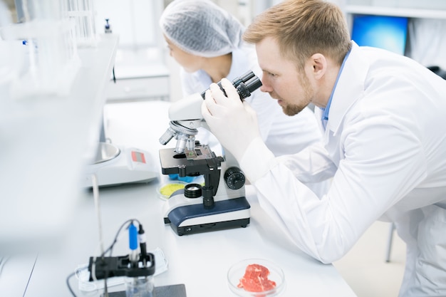 Equipe de cientistas em laboratório