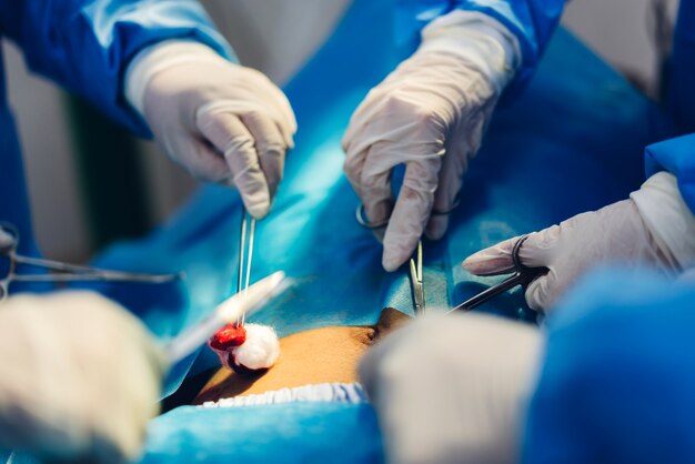 Equipe médica profissional médico anestesista e assistente, preparando o paciente para cirurgia ginecológica, realizando a operação com equipamentos de cirurgia na sala de emergência de operação do hospital moderno