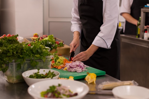 Equipe profissional de cozinheiros e chefs preparando a refeição em um hotel movimentado ou cozinha de restaurante