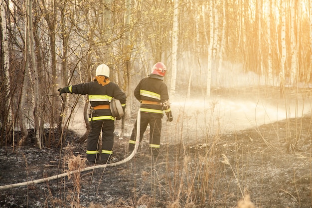 Equipes de resgate extinguem incêndios florestais