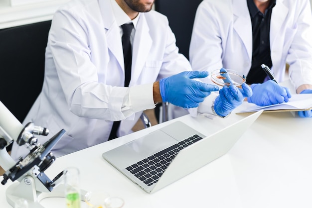 El equipo de investigación de científicos está trabajando en el laboratorio el investigador médico masculino está haciendo investigaciones con microscopio y portátil en el laboratorio bioquímica genética forense resultados de análisis de sangre concepto