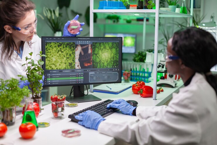Foto equipo médico discutiendo sobre placa de petri con carne vegana analizando gmo. científico químico investigando alimentos vegetarianos modificados genéticamente que trabajan en el laboratorio de química.