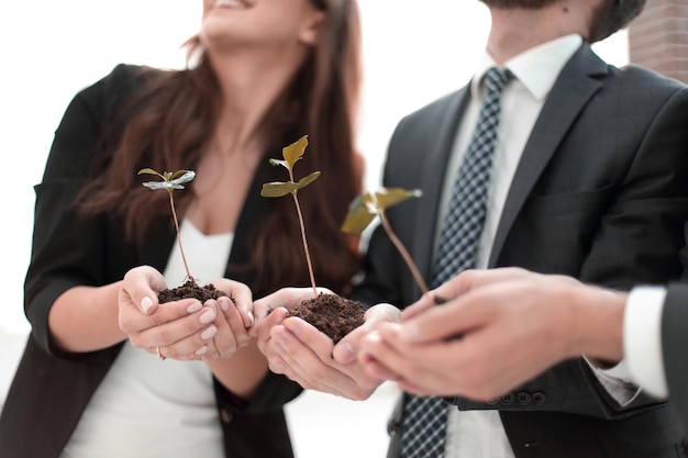 Foto equipo de negocios feliz muestra brotes frescos