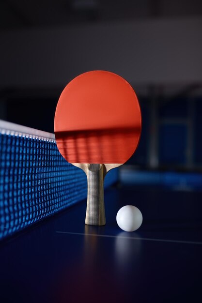 Red Para Mesa De Ping Pong