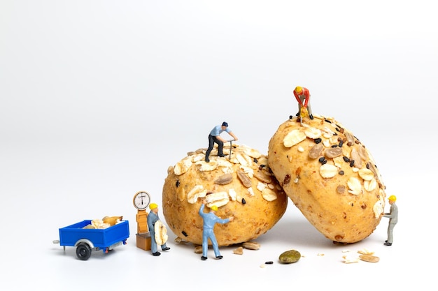 Equipo de trabajadores de personas en miniatura trabajando en pan de grano entero sobre fondo blanco.