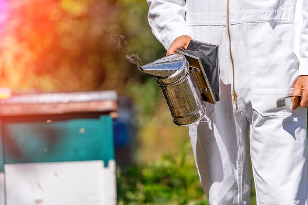 Equipos de apicultores para realizar trabajos con miel. Colmenas y abejas en el fondo.