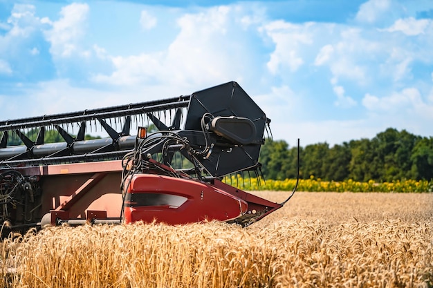 Equipos de cosecha de granos en el campo Tiempo de cosecha Sector agrícola