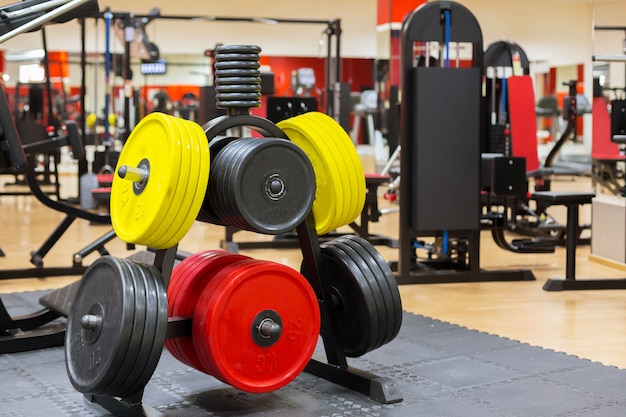 Foto equipos en el gimnasio