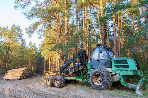 Equipos de tala en el bosque carga de troncos para el transporte Cosecha y almacenamiento de madera en el bosque Transporte de troncos recién cortados para la industria forestal