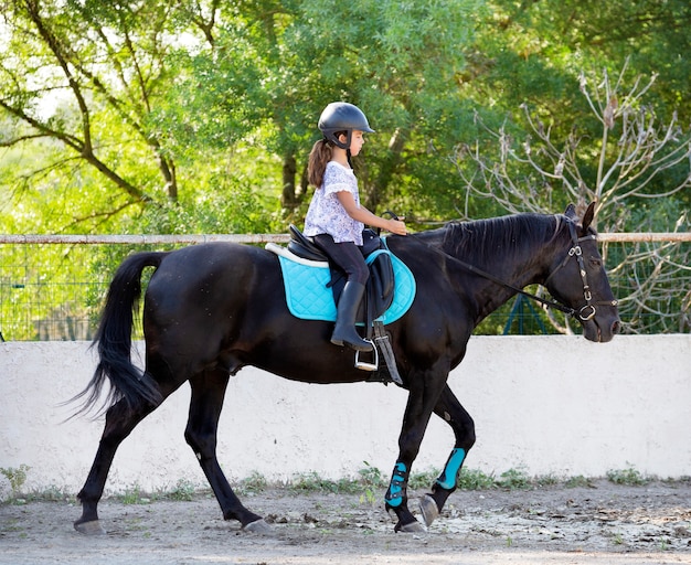 Equitação criança e cavalo