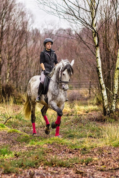 Equitação de cavalos profissional pequeno empresário atleta Belo retrato ao ar livre cavaleiro de adestramento esporte a cavalo