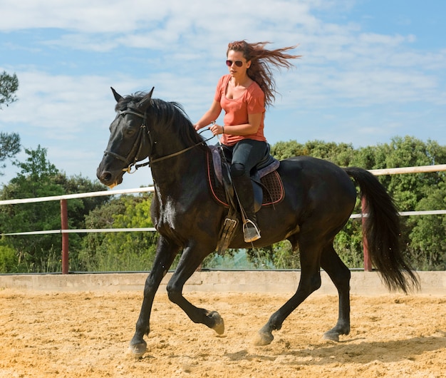 equitação menina e cavalo