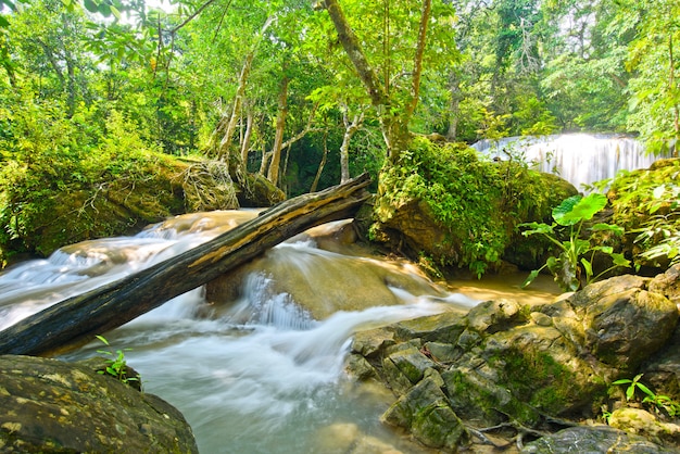 Erawan-Wasserfall bei Kanchanaburi, Thailand, schöner Wasserfall, Wald