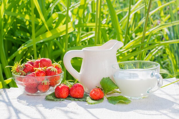 Erdbeerbeeren und Blätter, ein Krug und eine Schale mit Milch auf einer Serviette auf einem Hintergrund des Grases