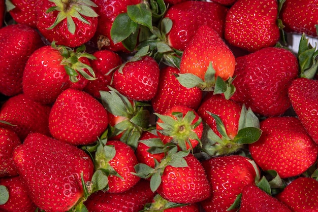 Erdbeere Frische Bio-Fruchtbeeren Hintergrund