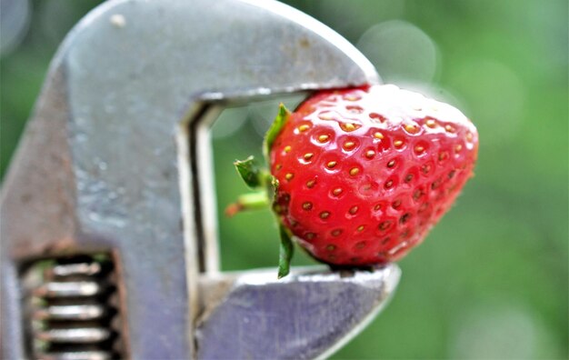 Foto erdbeere frisches beerenobst-frühlingslebensmittelkonzept