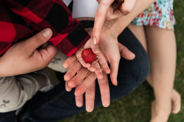 Erdbeere in der Hand eines Kindes. Familie hält Händchen zusammen. Familienpicknick. Menschen ruhen in der Natur. sommerliches Essen.