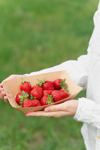 Erdbeere in der Hand halten. Erdbeeren in Einweg-Öko-Platte an grüner Wand