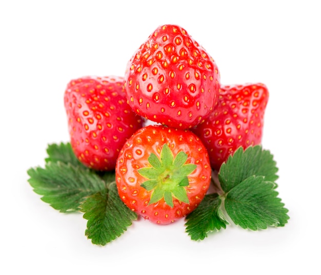 Erdbeere Wilde saftige Erdbeeren isoliert auf weißem Hintergrund