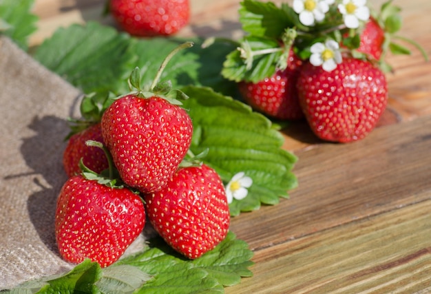 Erdbeeren auf Holztisch Haufen frischer Erdbeeren Naturproduktkonzept Makrolebensmittelhintergrund