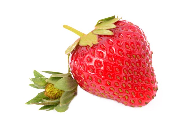 Erdbeeren auf Weiß