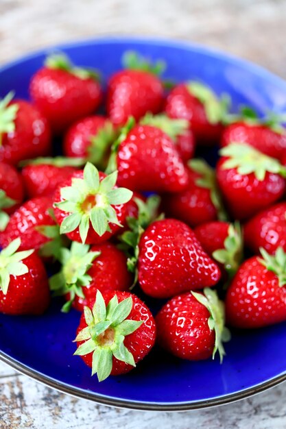 Foto erdbeeren ernten.