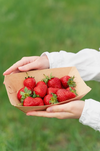 Erdbeeren hautnah in Einweg-Öko-Platte in den Händen der Frau auf unscharfem Hintergrund