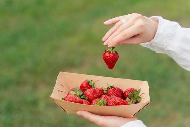 Erdbeeren hautnah in Einweg-Öko-Platte und Frauenhand, die eine auf unscharfem Hintergrund aufhebt