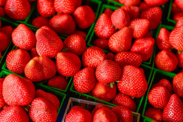 Foto erdbeeren in den grünen kästen im markt