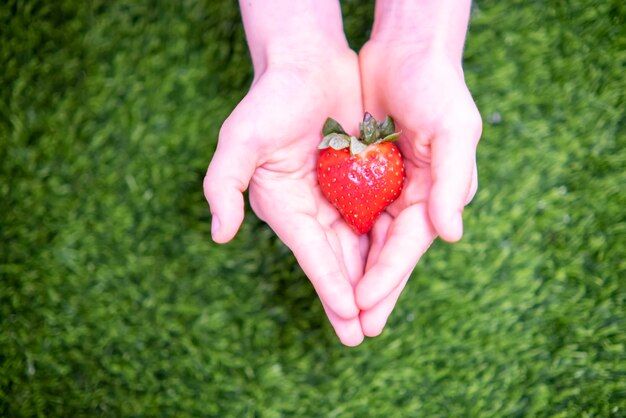 Erdbeeren in Form eines Herzens Happy Valentines Day Grüße gesunde Ernährung Vegetarismus Kopie