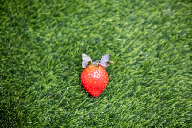 Erdbeeren in Form eines Herzens. Schöne Grüße zum Valentinstag. Gesunde Ernährung. Vegetarismus. Platz auf grünem Gras kopieren. Platz für Text. Sommerernte von Beeren. Rote saftige Beeren.