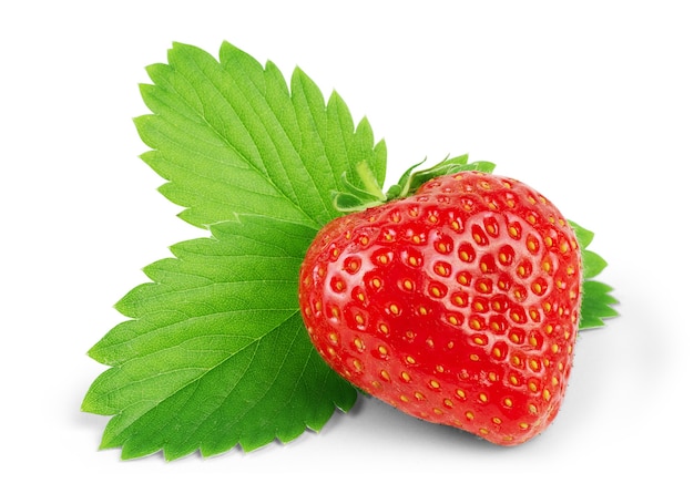 Erdbeeren mit Blättern. Isoliert auf weißem Hintergrund.