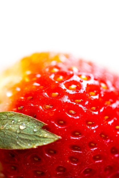 Erdbeeren Nahaufnahme auf weißem Hintergrund. Erdbeeren isoliert. Makrofoto der saftigen frischen Beere