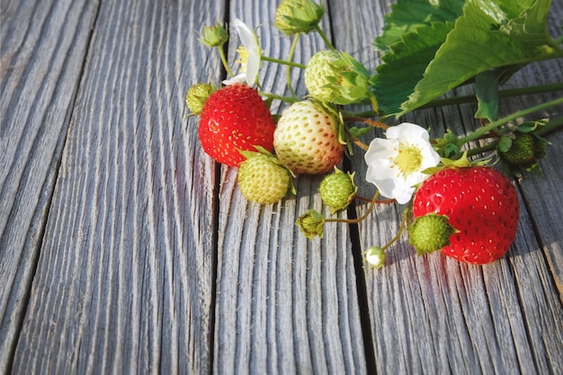 Erdbeerzweig mit Blumen und Beeren auf altem Holztisch