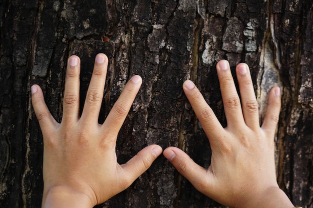 Erdliebeskonzept menschliche Hand, die den Baum mit Liebe berührt
