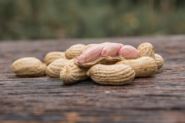 Erdnüsse in Muscheln mit frischen Erdnüssen auf Holz auf Natur Hintergrund