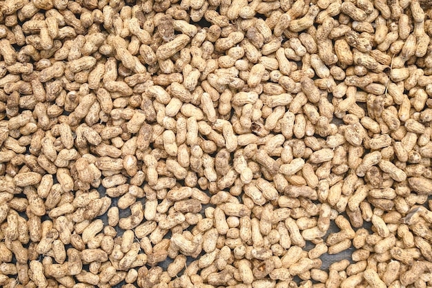 Erdnüsse in Shell-Textur-Hintergrund Rohe Erdnüsse auf dem Display auf einem farmer39s-Markt Schließen Sie herauf Bild
